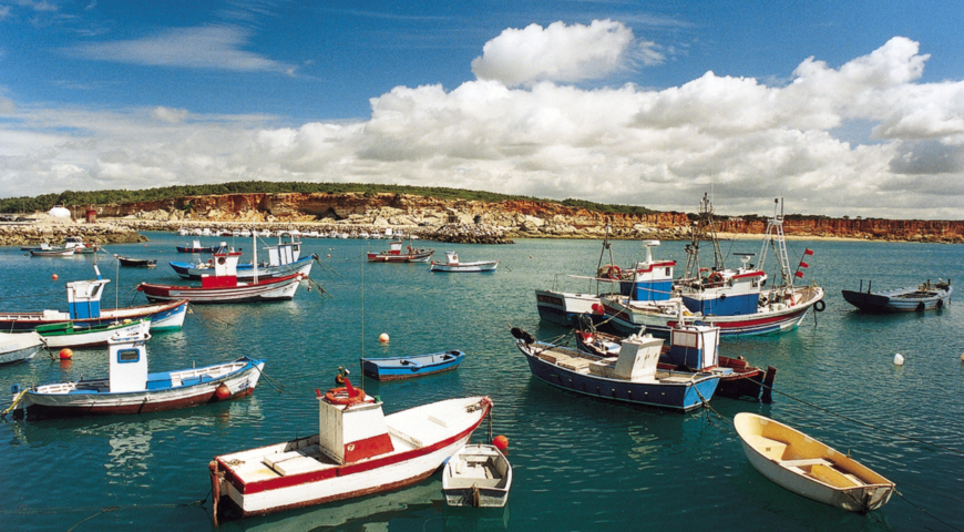Conil and Roche