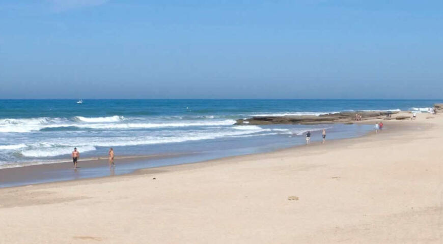 El Palmar