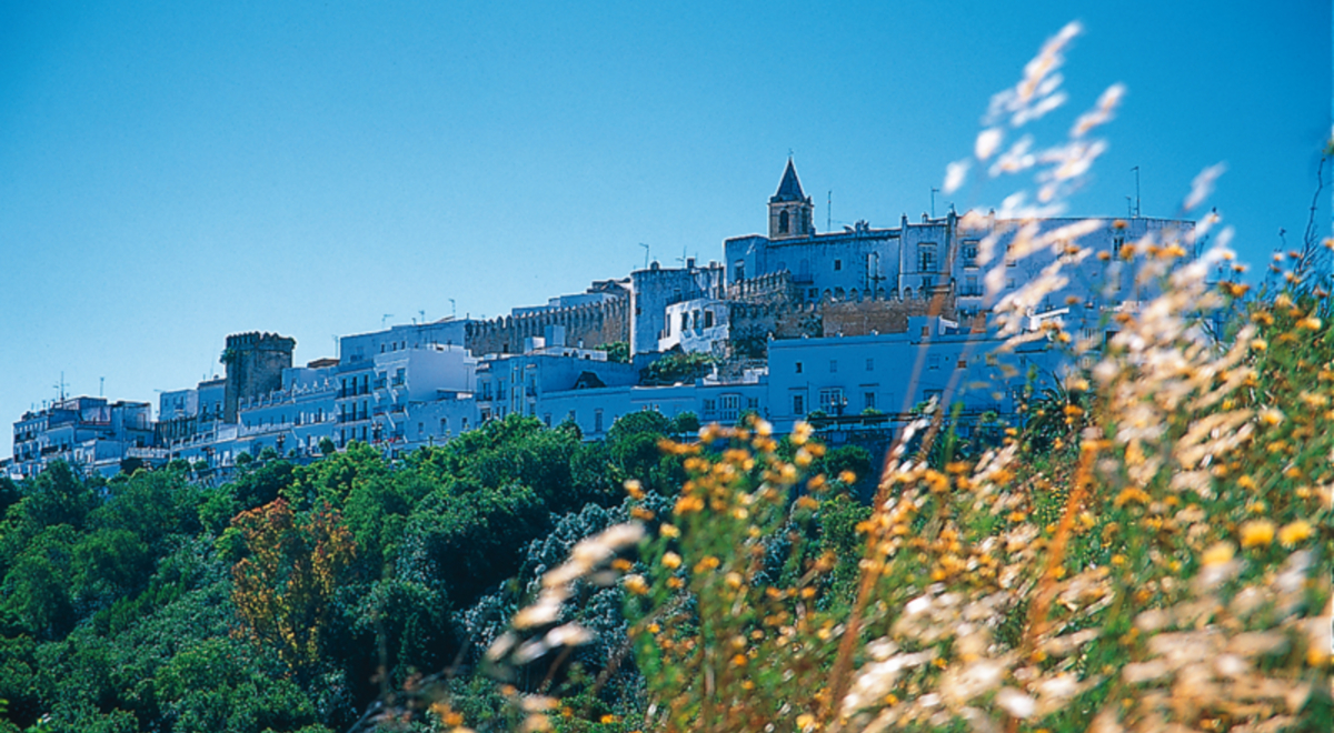 View to Vejer de la Frontera