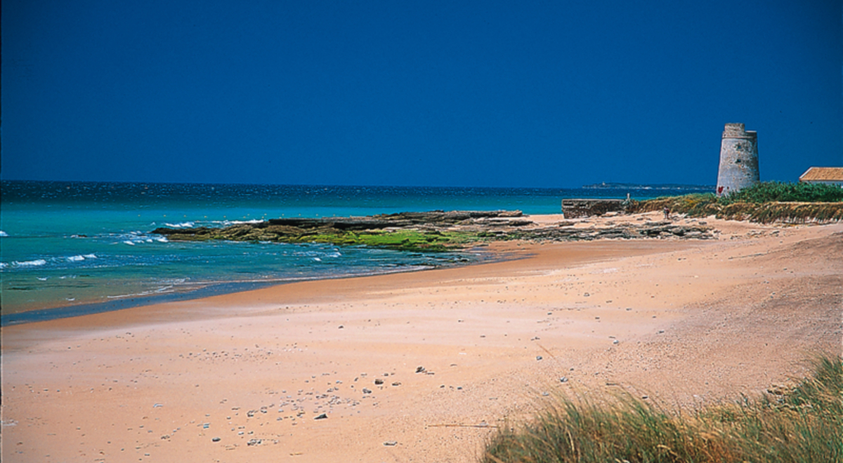 El Palmar Beach - Torre