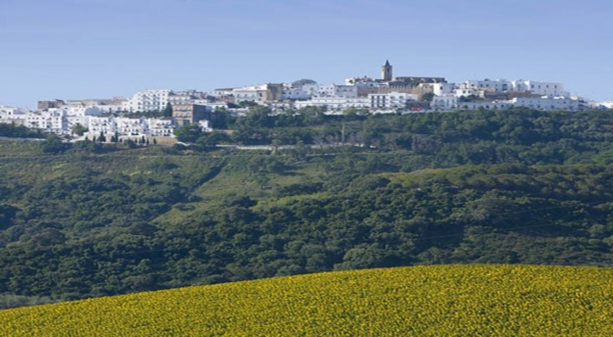 View to Vejer de la Frontera