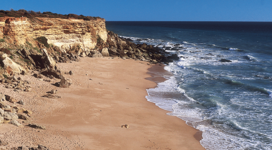 conil 4 reasons to choose conil this Veraneo Cádiz