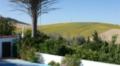 View to Sunflower Fields